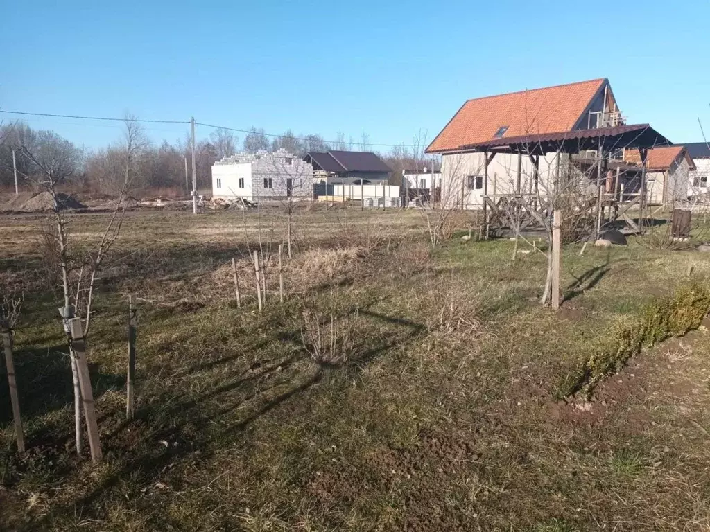 Участок в Калининградская область, Гурьевский муниципальный округ, ... - Фото 1
