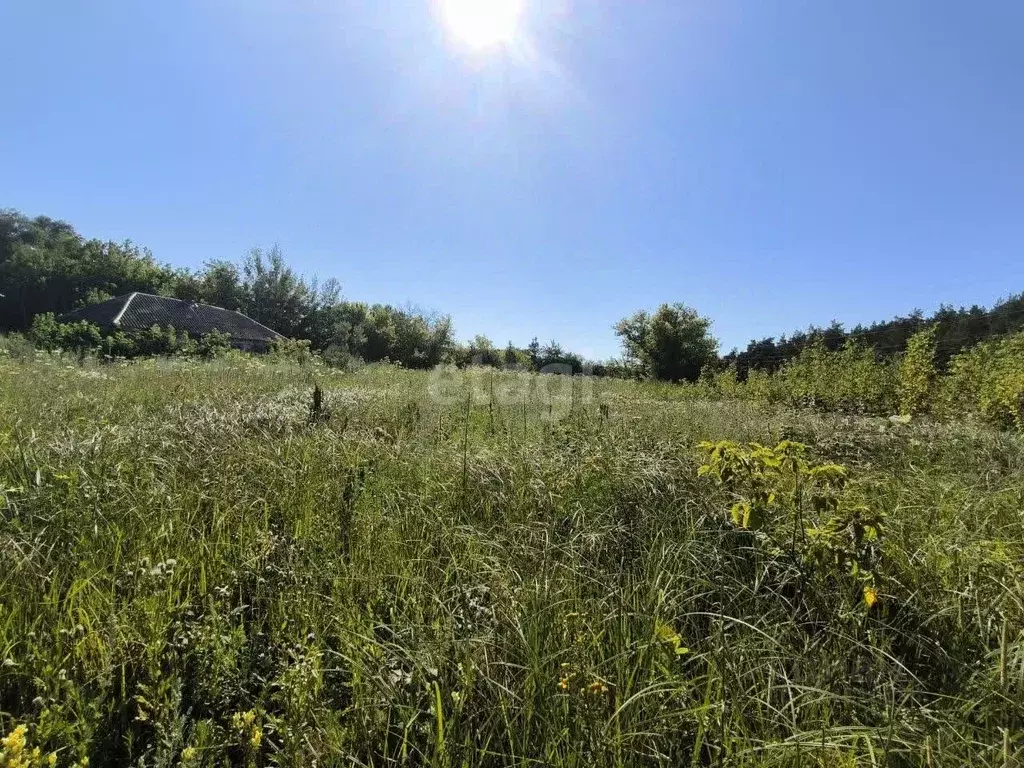 Участок в Белгородская область, Старооскольский городской округ, с. ... - Фото 1