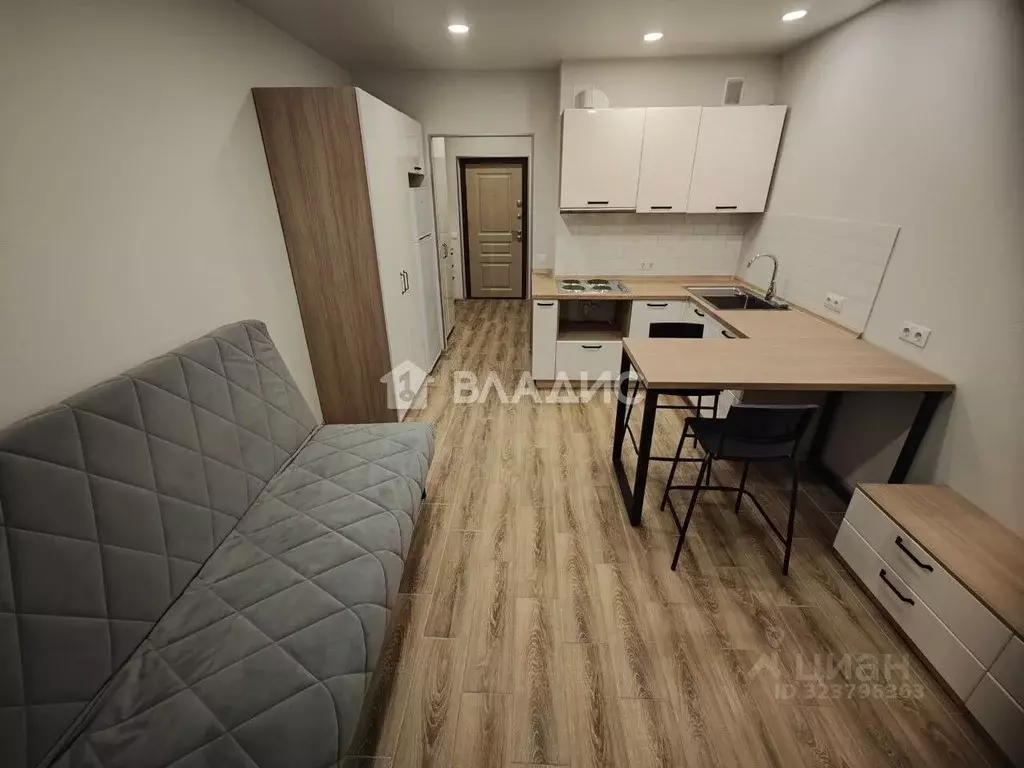 Студия Владимирская область, Владимир ул. Горького, 133А (25.0 м) - Фото 1