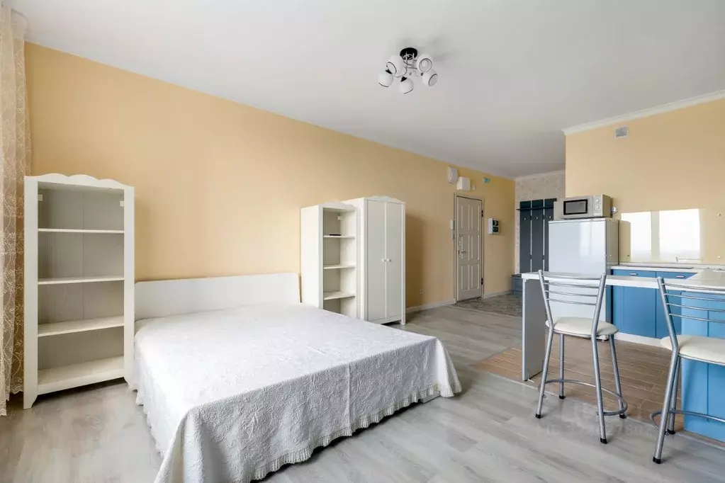 Студия Московская область, Красногорск ул. Липовой Рощи, 2к3 (31.0 м) - Фото 2