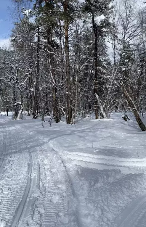 Участок в Карачаево-Черкесия, Зеленчукский район, с. Архыз  (4.66 ... - Фото 0