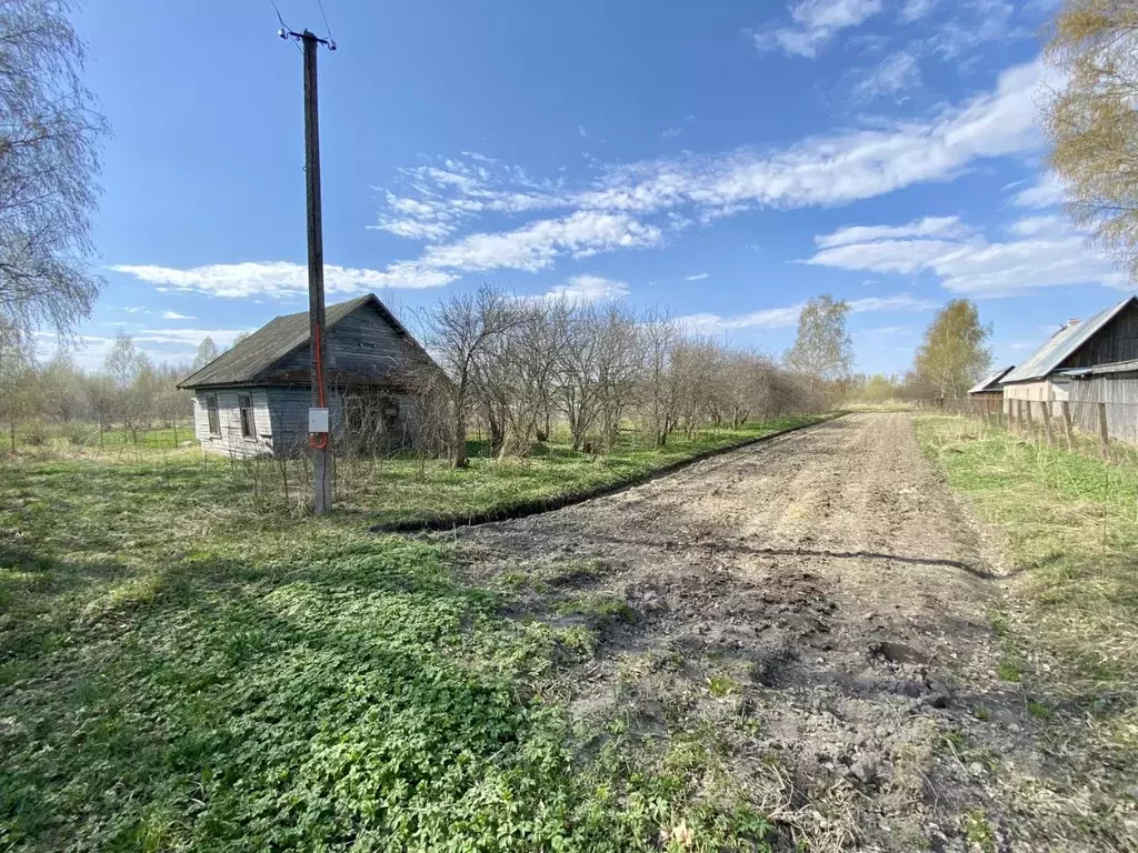 Участок в Псковская область, Гдов муниципальное образование, д. ... - Фото 0