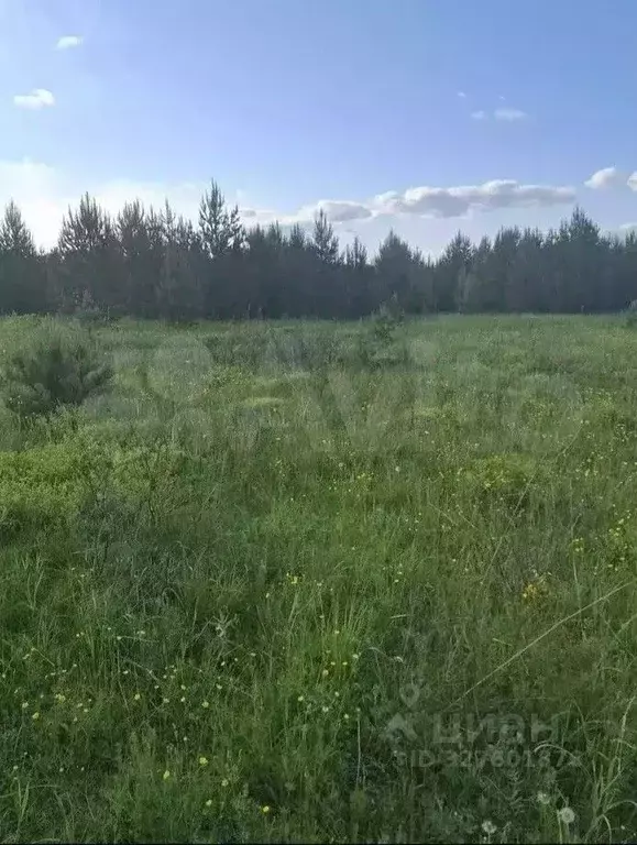 Участок в Свердловская область, Верхняя Пышма городской округ, с. ... - Фото 1