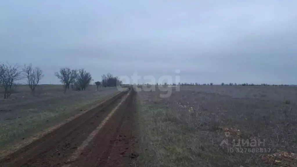 Участок в Крым, Евпатория городской округ, Новоозерное пгт  (6.0 сот.) - Фото 1