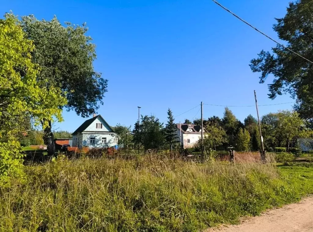 Участок в Ленинградская область, Лужский район, Толмачевское городское ... - Фото 0