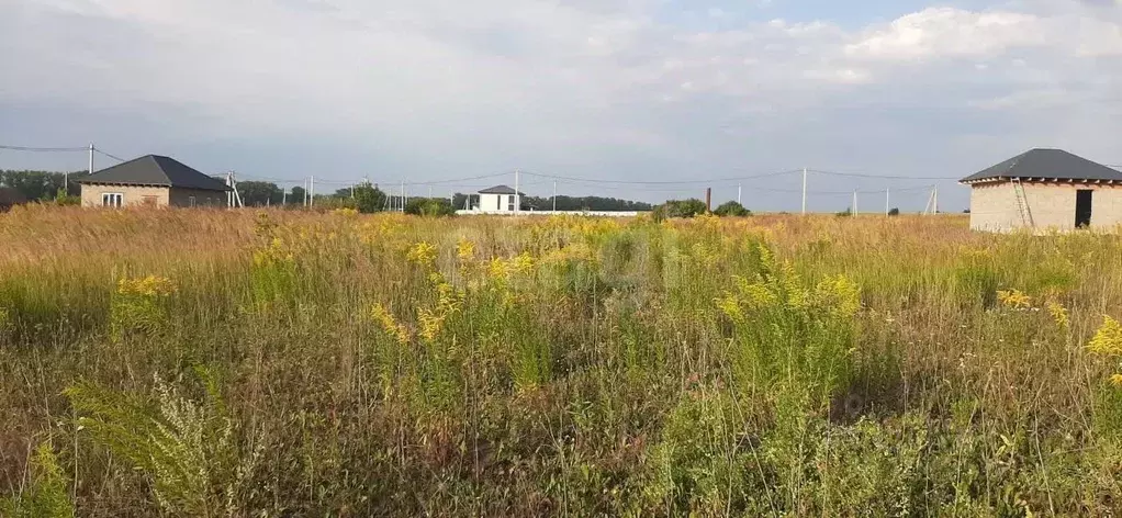 Участок в Мордовия, Саранск городской округ, пос. Пушкино  (15.0 сот.) - Фото 0