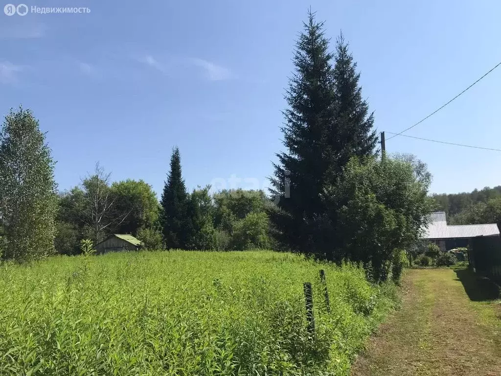 Участок в Раздольненский сельсовет, СНТ Черёмушки, Береговая улица ... - Фото 0