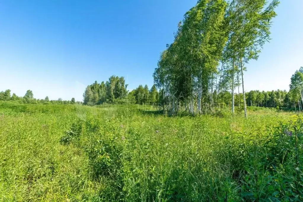 Участок в Тюменская область, Нижнетавдинский муниципальный округ, ... - Фото 1