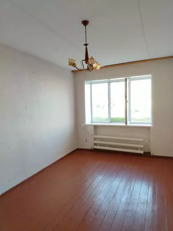 1-к кв. Курганская область, с. Мокроусово ул. Советская, 40 (29.3 м) - Фото 1