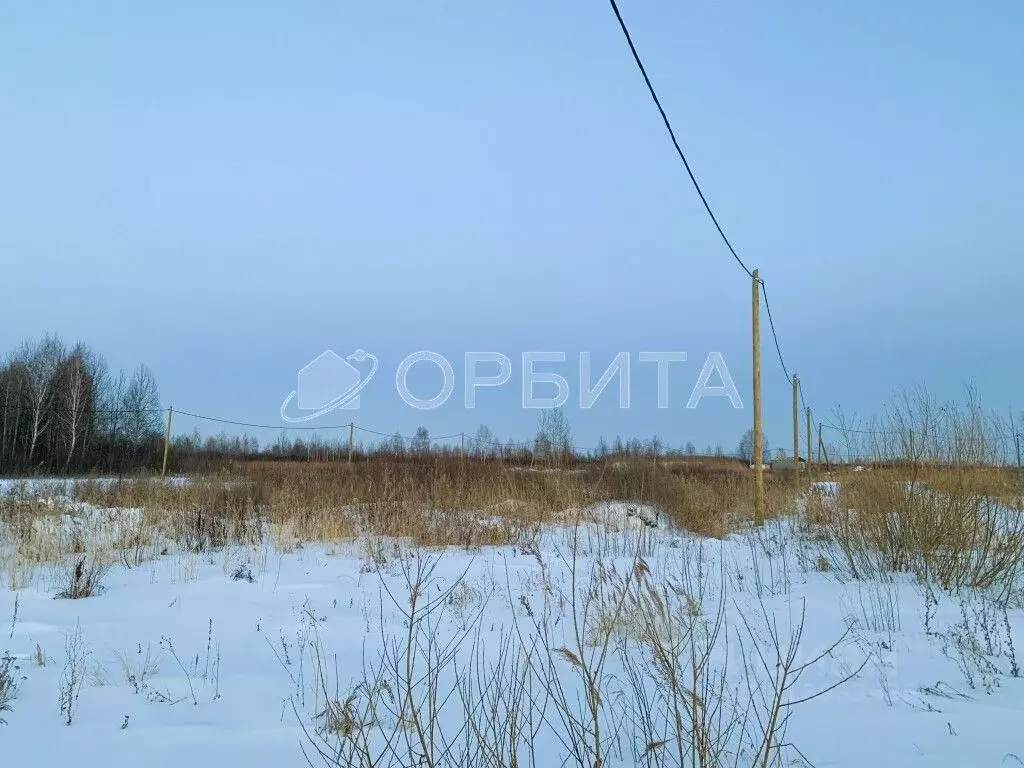 Участок в Тюменская область, Тюмень Яровское садовое товарищество, ул. ... - Фото 1