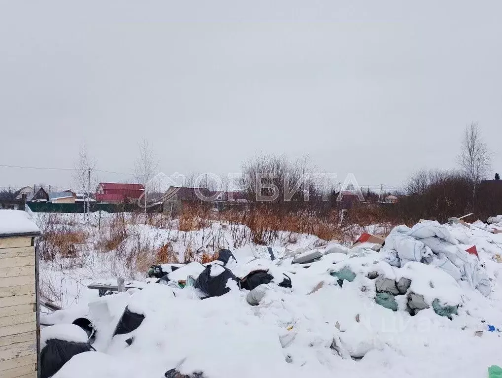 Участок в Тюменская область, Тюмень Якорь садовое товарищество, ул. ... - Фото 1