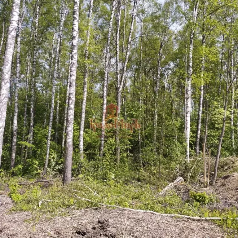 Участок в Московская область, Дмитровский городской округ, д. ... - Фото 1