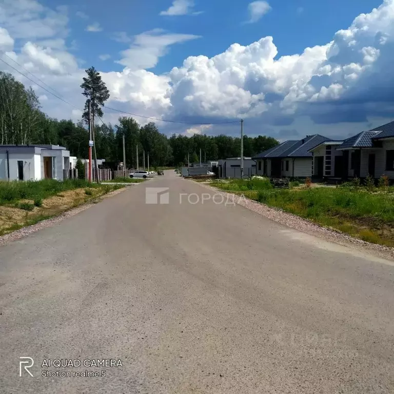 Участок в Алтайский край, Первомайский район, с. Фирсово ул. Ореста ... - Фото 1