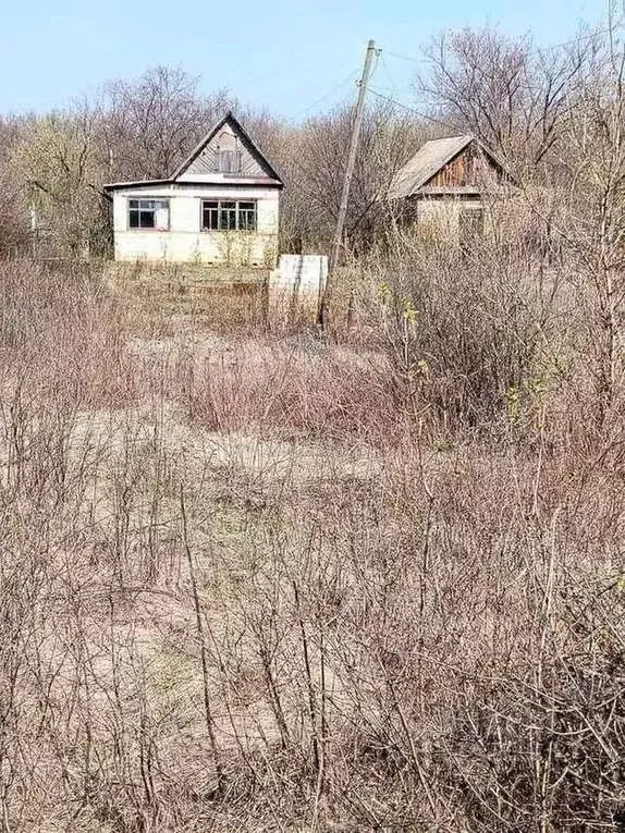 Дом в Оренбургская область, Бузулук Вымпел СНТ,  (16 м) - Фото 1