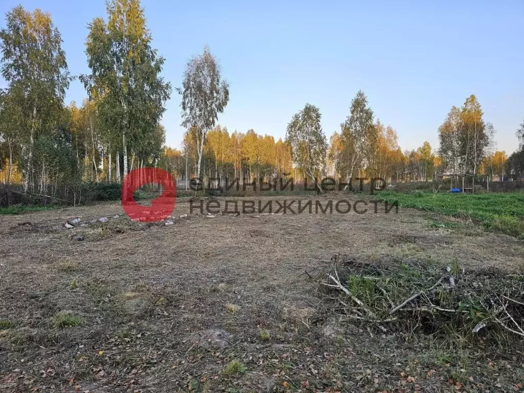 Участок в Тюменская область, Тюменский муниципальный округ Салаирский ... - Фото 1