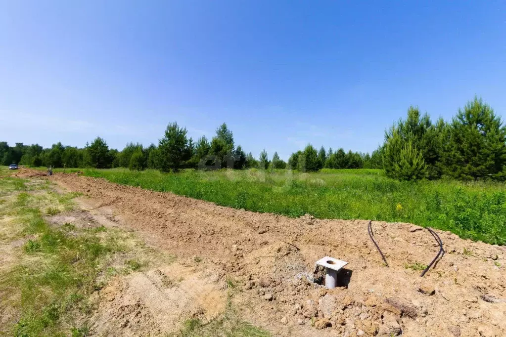 Участок в Тюменская область, Тюменский муниципальный округ, Каменское ... - Фото 1