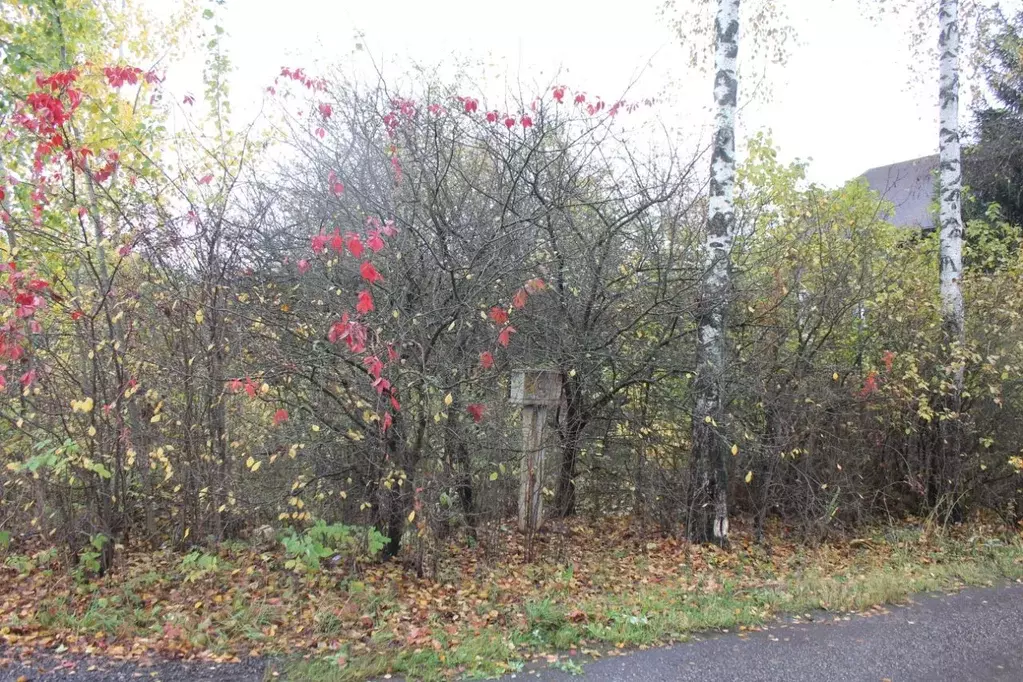 Участок в Москва пос. Внуково, ул. Плотинная, 7 (6.34 сот.) - Фото 2