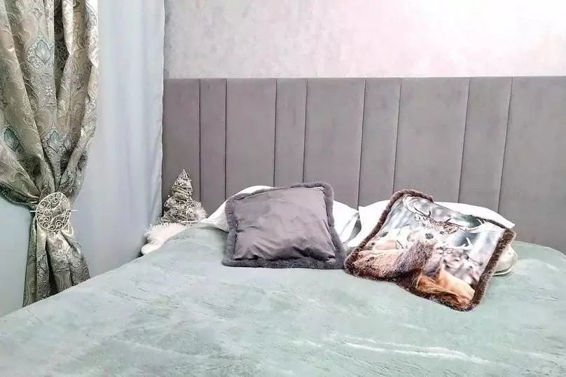 1-к кв. Московская область, Лобня Светлая ул., 1А (25.0 м) - Фото 2