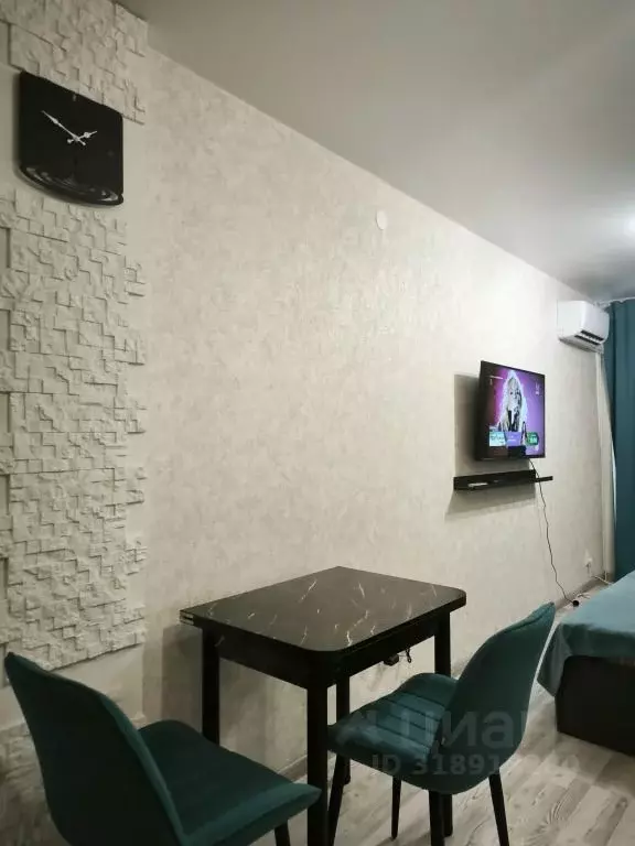 1-к кв. Алтайский край, Барнаул ул. Никитина, 107 (23.0 м) - Фото 1