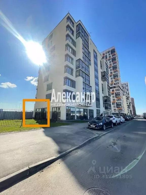 Торговая площадь в Ленинградская область, Всеволожский район, ... - Фото 1