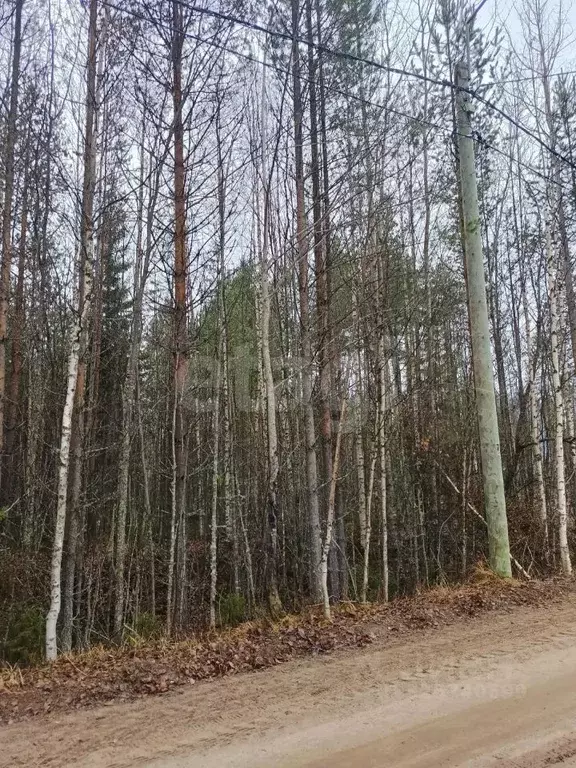 Участок в Коми, Сыктывкар городской округ, Верхняя Максаковка пгт ул. ... - Фото 2