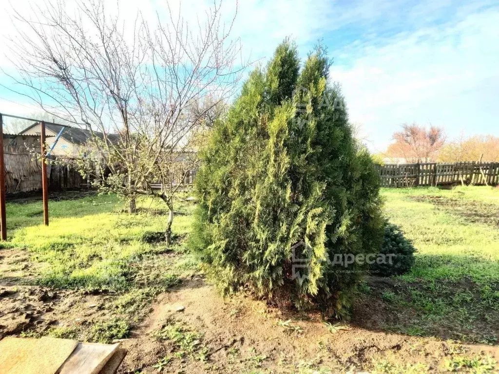 Дом в Волгоградская область, Среднеахтубинский район, Фрунзенское ... - Фото 1