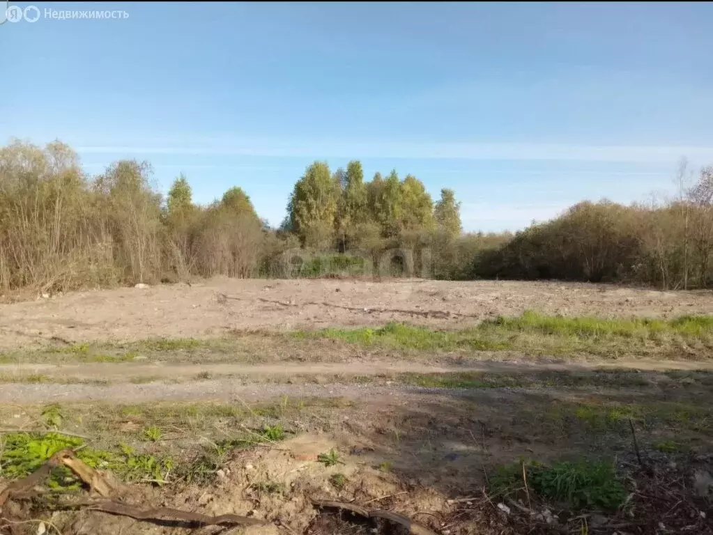 Участок в Тюменский муниципальный округ, село Салаирка (40 м) - Фото 2