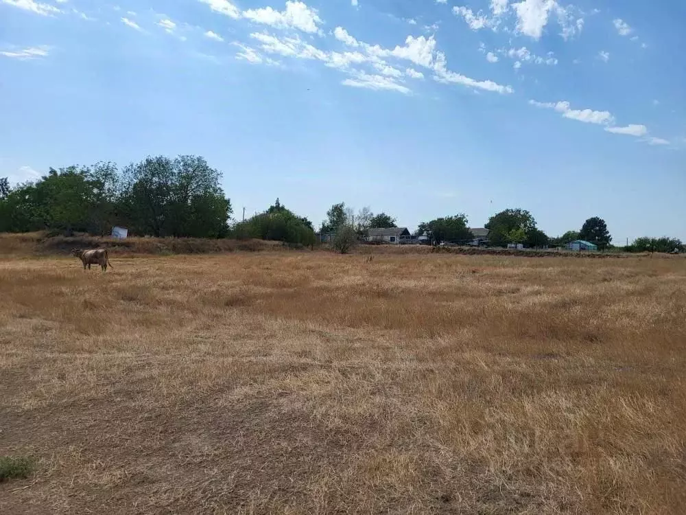 Участок в Ростовская область, Неклиновский район, Лакедемоновское ... - Фото 2