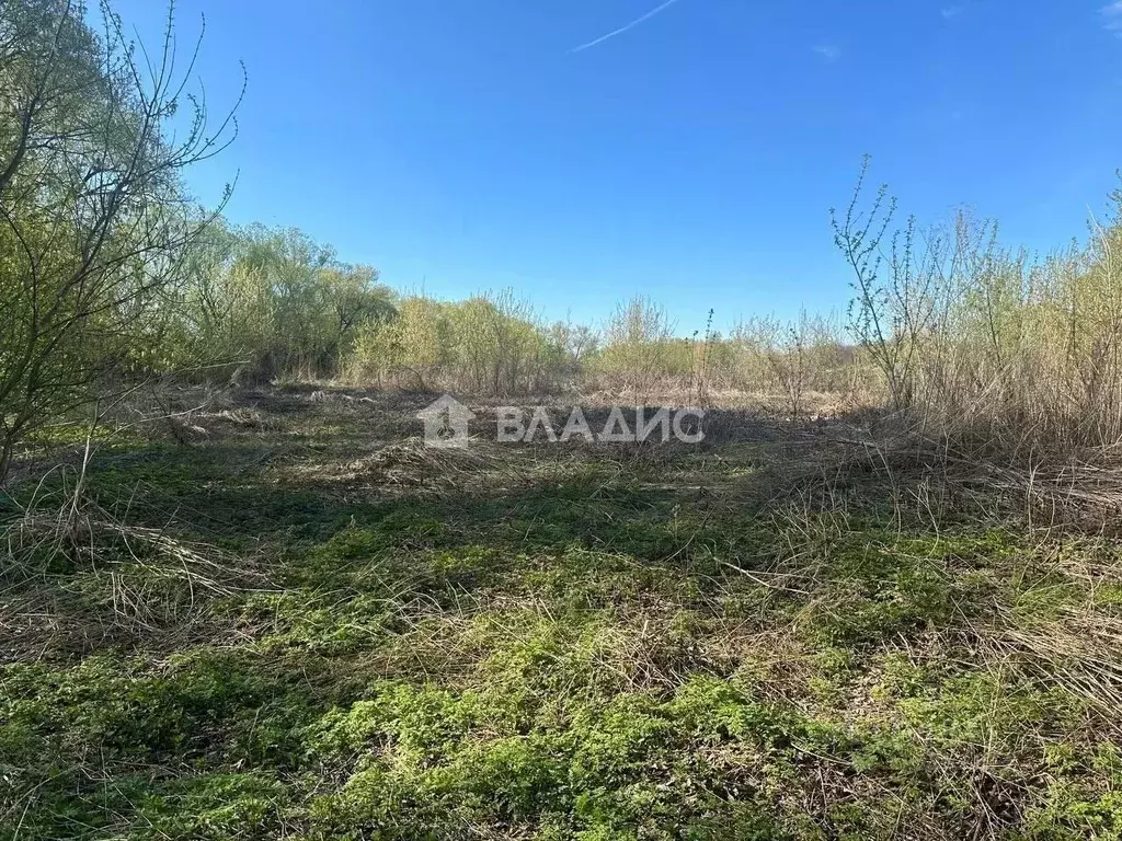 Участок в Пензенская область, Бессоновский район, с. Кижеватово ул. ... - Фото 0