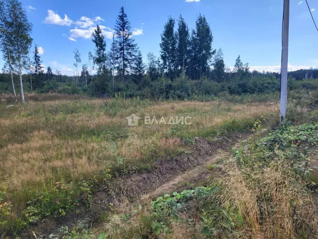 Участок в Ленинградская область, Всеволожский район, Агалатовское ... - Фото 1