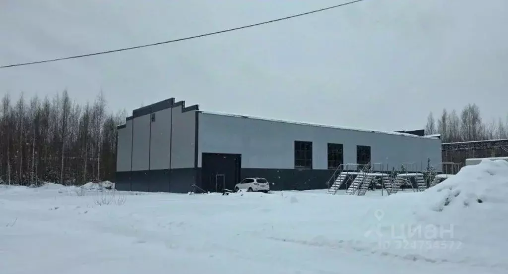 Производственное помещение в Ленинградская область, Всеволожск ул. ... - Фото 1