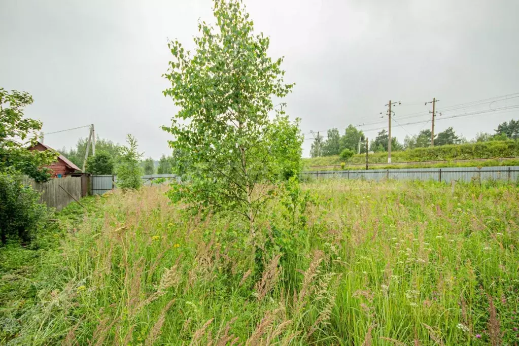 Участок в Московская область, Звенигород Одинцовский городской округ, ... - Фото 2