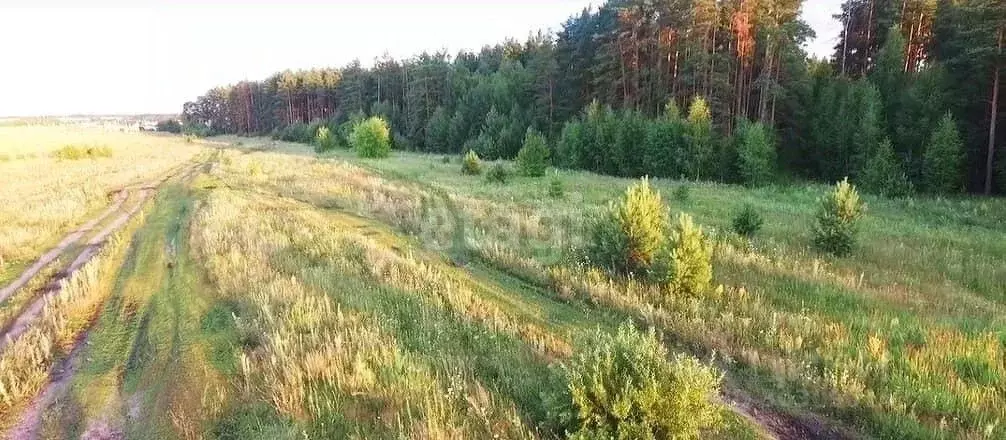 Участок в Липецкая область, Добровский муниципальный округ, с. ... - Фото 0