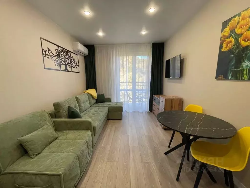 Студия Краснодарский край, Сочи ул. Искры, 88к8 (31.0 м) - Фото 2