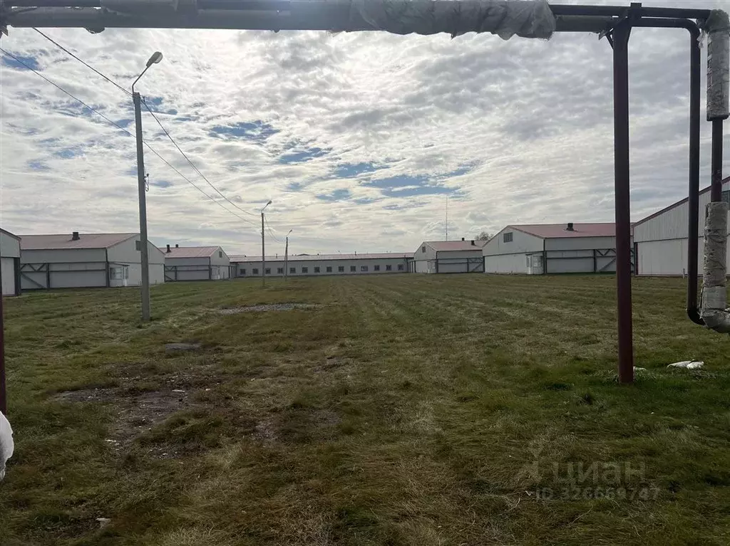 Производственное помещение в Алтайский край, Тальменский район, пос. ... - Фото 2