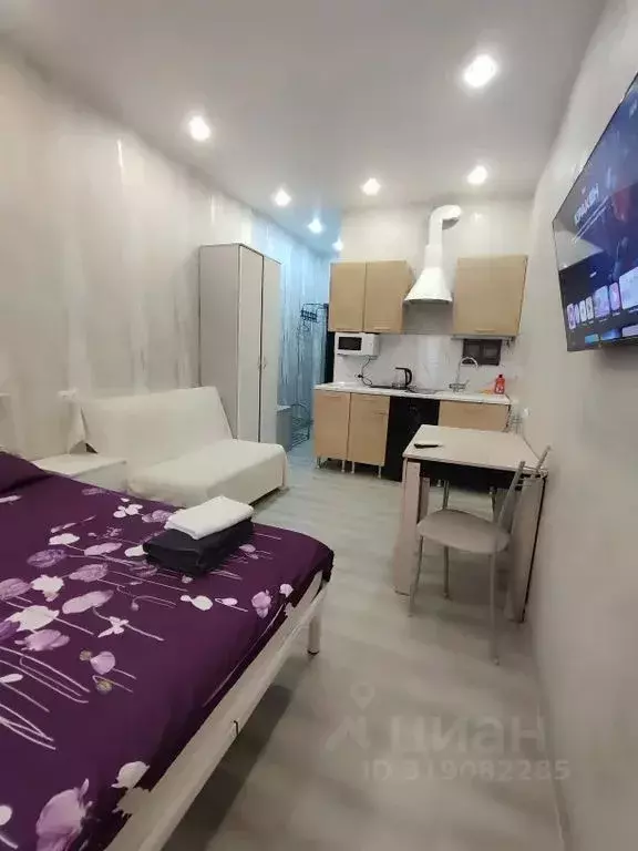 Студия Краснодарский край, Сочи ул. Ленина, 290/7к2 (25.0 м) - Фото 1