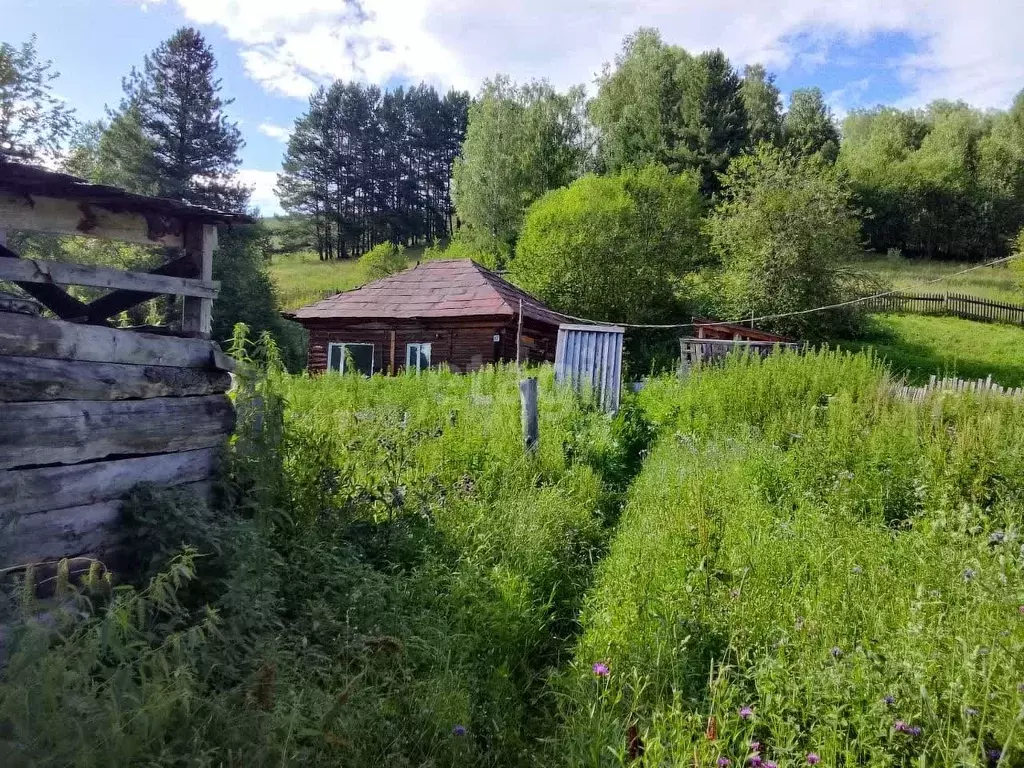 Дом в Алтай, Чойский район, с. Сейка Луговая ул. (48 м) - Фото 1