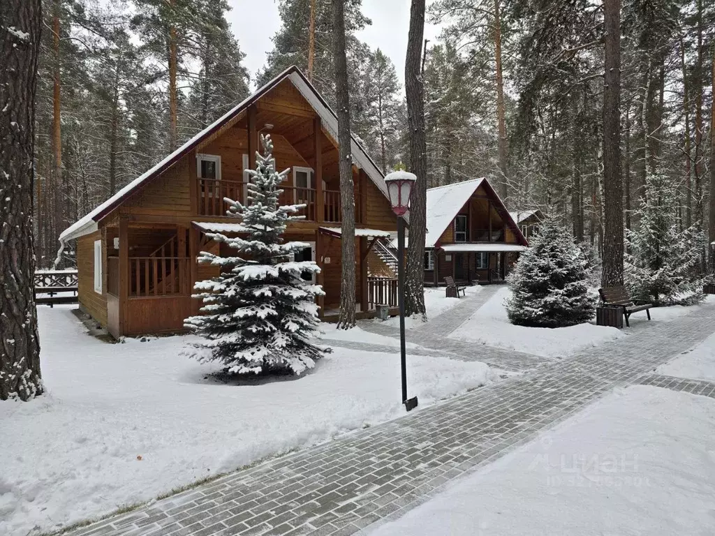 Помещение свободного назначения в Алтай, Чемальский район, Узнезинское ... - Фото 1