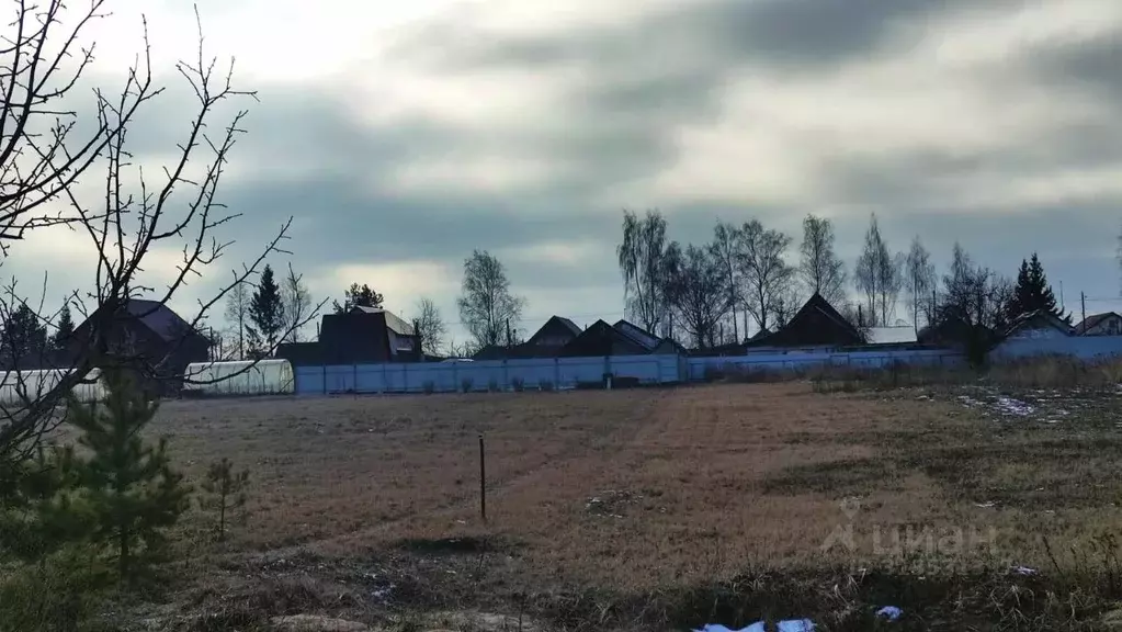 Участок в Владимирская область, Суздальский район, Селецкое ... - Фото 1