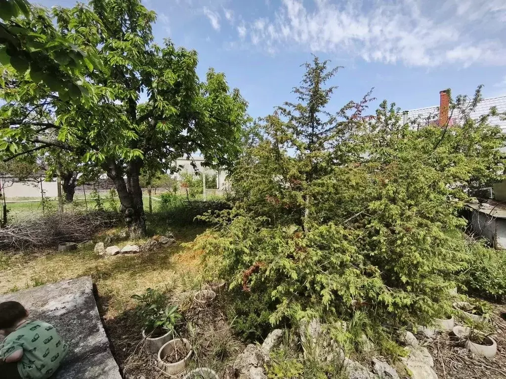 Участок в Севастополь Лабораторная Балка ТСН, 36 (7.3 сот.) - Фото 1