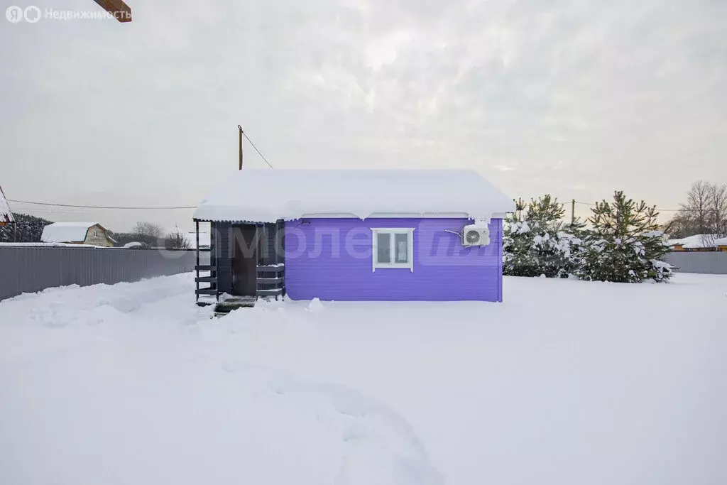 Дом в деревня Чапаевка, улица Ленина, 3 (44 м) - Фото 2