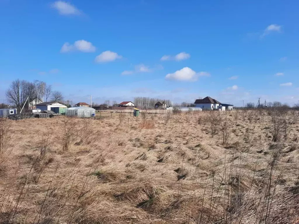 Участок в Калининградская область, Гурьевский муниципальный округ, ... - Фото 1