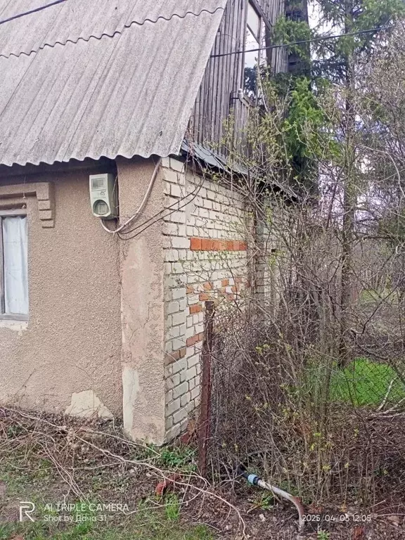 Дом в Белгородская область, Белгородский район, Ериковское с/пос, ... - Фото 1