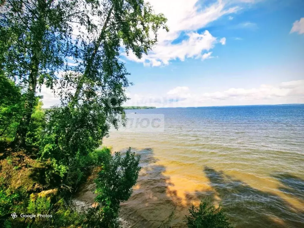 Участок в Нижегородская область, Чкаловск муниципальный округ, д. ... - Фото 1