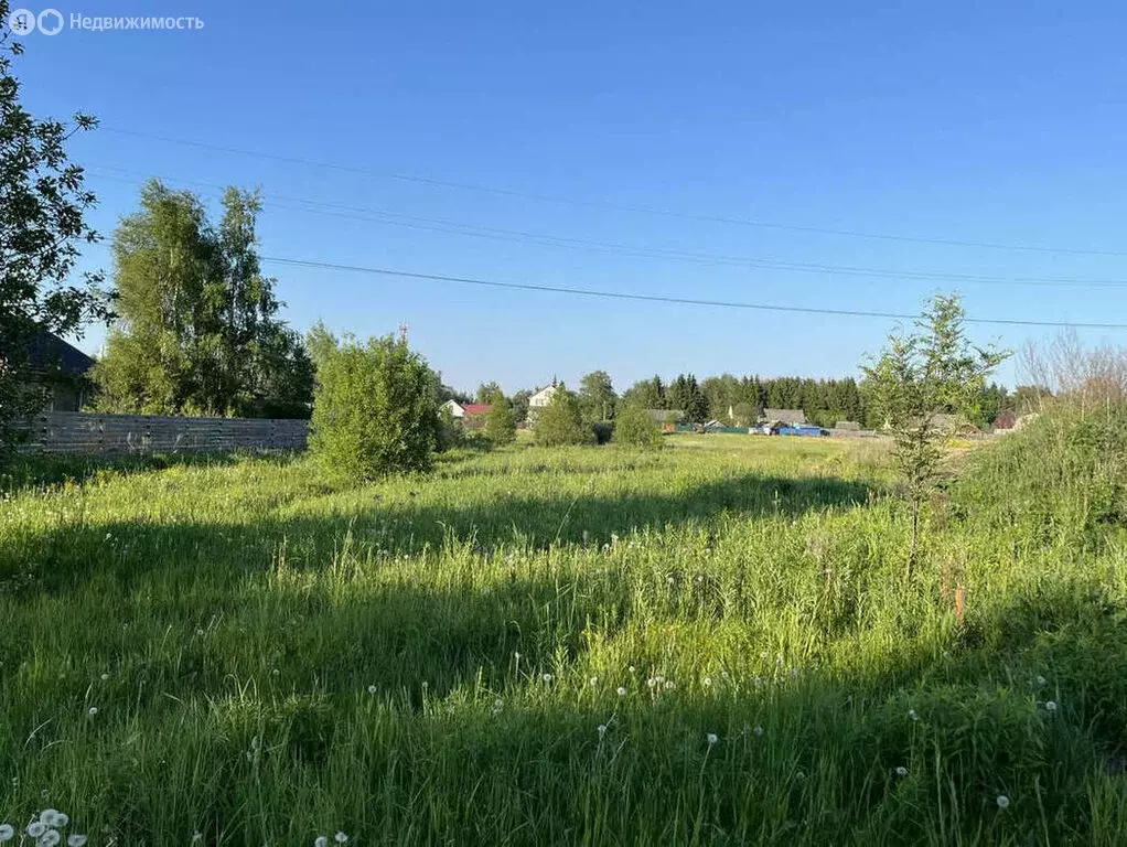 Участок в Тверская область, Калининский муниципальный округ, деревня ... - Фото 1