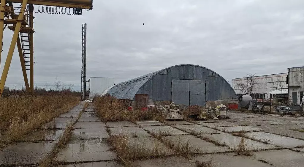 Производственное помещение в Калининградская область, Багратионовский ... - Фото 1