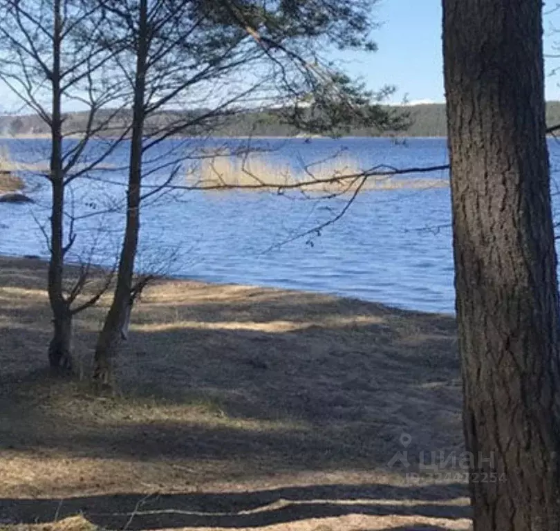 Участок в Ленинградская область, Приозерский район, Петровское с/пос, ... - Фото 2