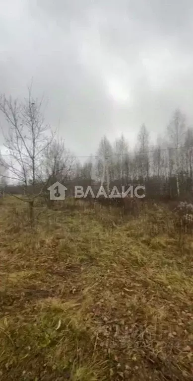 Участок в Московская область, Электросталь городской округ, д. Есино ... - Фото 2