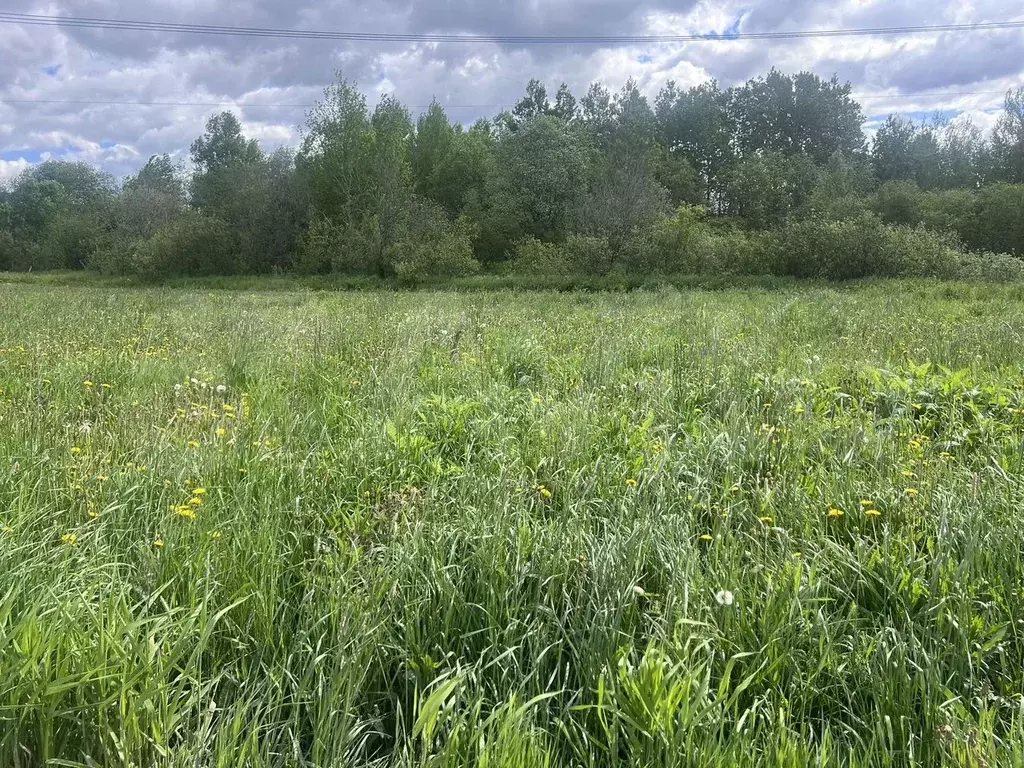 Участок 9,5 сот. (ИЖС) - Фото 1