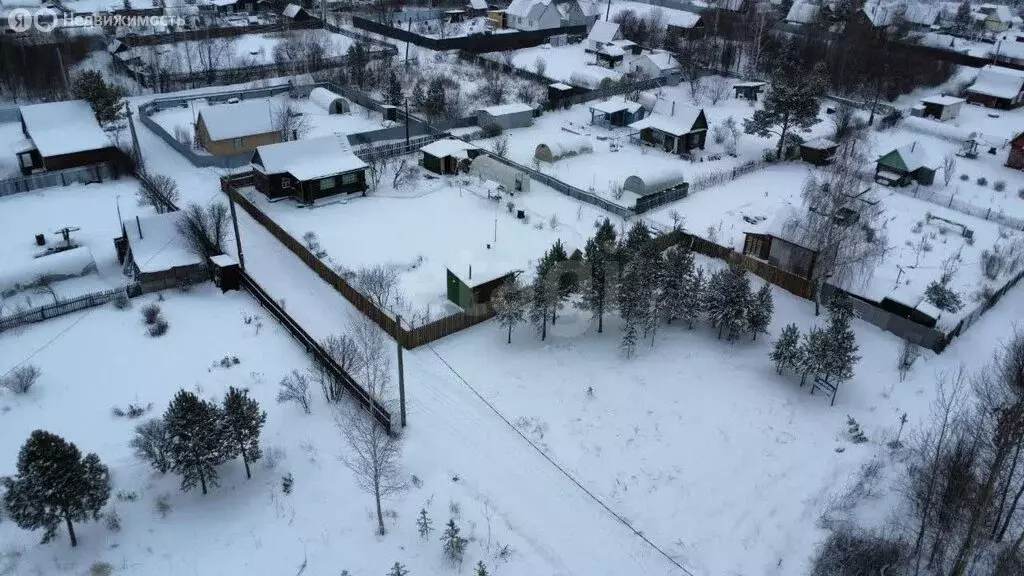 Участок в Тюменский муниципальный округ, СНТ Лесник-2, 1-я Центральная ... - Фото 2